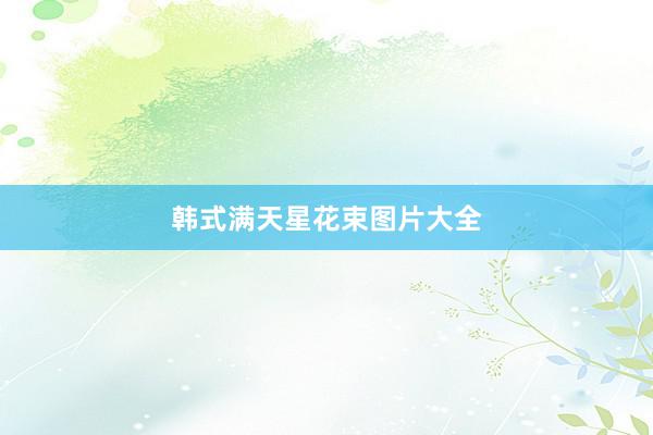 韩式满天星花束图片大全