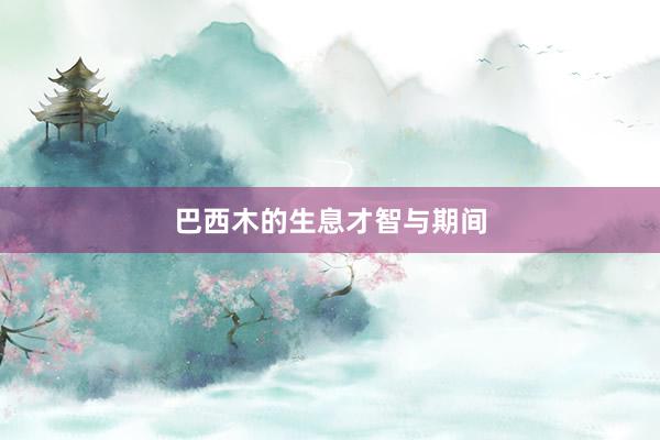 巴西木的生息才智与期间