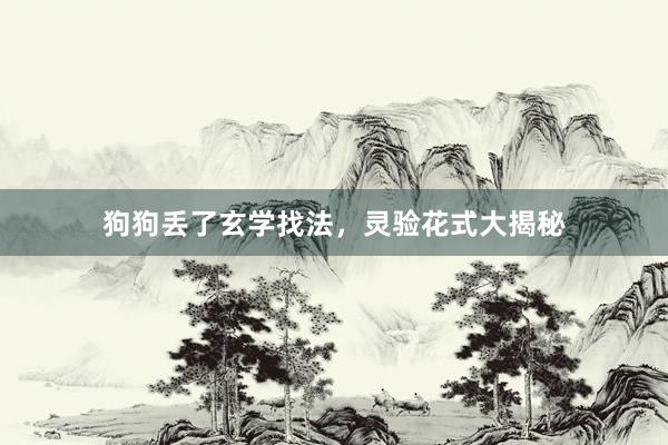 狗狗丢了玄学找法，灵验花式大揭秘