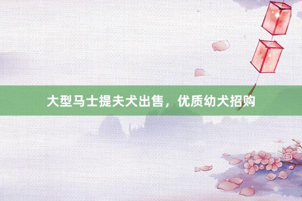 大型马士提夫犬出售，优质幼犬招购